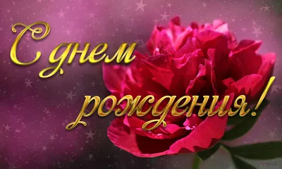 день рождения