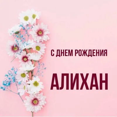 С Днем Рождения Алихан #42