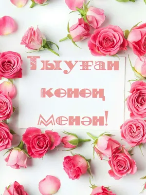 Бөгөн тыуған көндәрен билдәләүсе дуҫтарыбыҙҙы ҡотлайбыҙ!