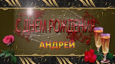 С Днем Рождения Андрей Николаевич!