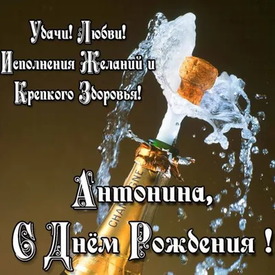 С Днем Рождения Антонина #65