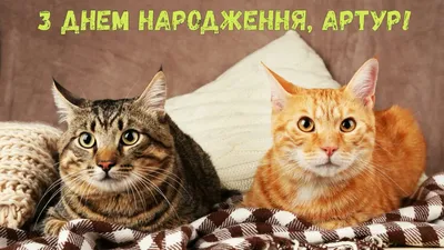 З Днем народження, Артур! (Котики) - YouTube