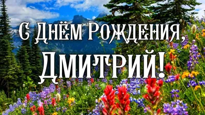 Открытка с именем Дима С днем рождения. Открытки на каждый день с именами и  пожеланиями.