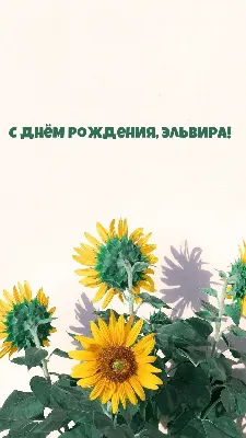 Открытки «С Днём Рождения, Эльвира»: 70 красивых картинок