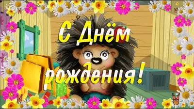 Ёжик в тумане!🦔🐾 у ёжика в …» — создано в Шедевруме