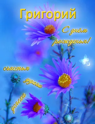 Комплект шаров "С Днём Рождения, Гриша!" - купить в интернет-магазине OZON с  доставкой по России (615154200)