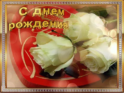 🌹🎂❤️🎉🌹 Поздравление с днём рождения Жазиры от семьи Ауэзовых 🌹🎉❤️🎂🌹  | Instagram