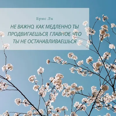 Мадина Бегиева М.Д. - Ассаламу 1алайкум, друзья! От всей души поздравляю  внучку Первого Президента ЧР, Героя России Ахмата-Хаджи Кадырова (Дала  газот къобалдойла цуьнан!), начальника Департамента дошкольного образования  мэрии Грозного Хадижат Кадырову! Ей