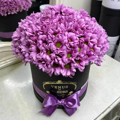 Фиолетовые кустовые хризантемы в коробке за 4 490 руб. | Бесплатная  доставка цветов по Москве