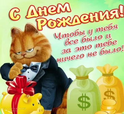 Он считает, что я ему кореш... [Котопост] | Пикабу