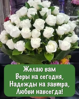 Пин от пользователя Светлана Мещерская на доске Доброе утро | Открытки,  Свадебные поздравления, Праздничные открытки