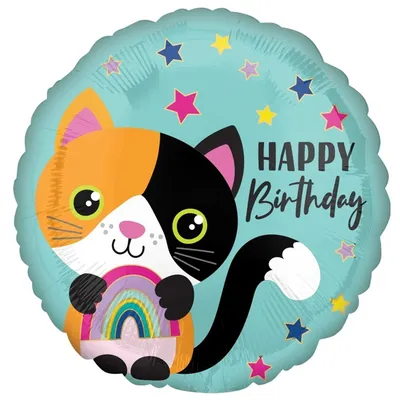 Милый котенок желая вам с днем рождения Стоковое Фото - изображение  насчитывающей лапка, портрет: 91573952