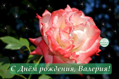 Валера с днем рождения