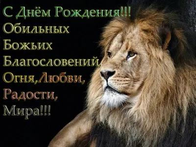 Открытка со львом (двойная в конверте) «С Днём рождения!» - купить в  интернет магазине - доставка в СПб, Москву, Россию