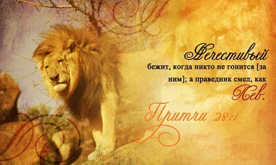 Львица с короной - фото и картинки 