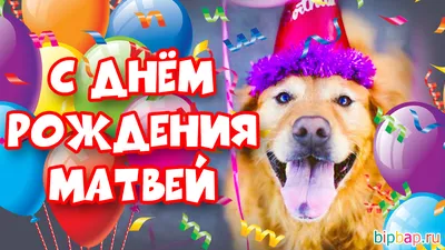 С Днем Рождения Матвейка #10