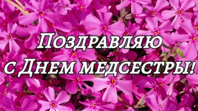 Поздравляем с днем рождения старшую медсестру отделения реанимации -  Терещук Ольгу Викторовну! Ваш труд неоценим, ответственность и… | Instagram