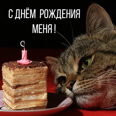 С Днём Рождения Меня🥳 | Смешные открытки, С днем рождения, Открытки