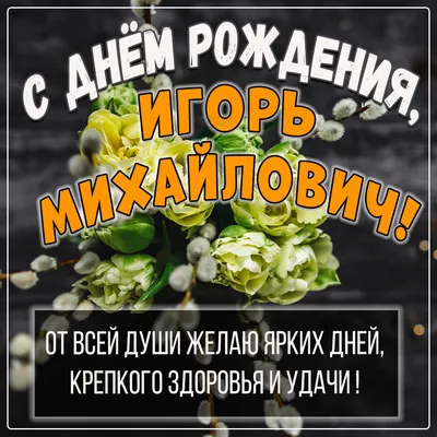 Михаил Михайлович! С днем рождения! – НЕМЦОВ МОСТ