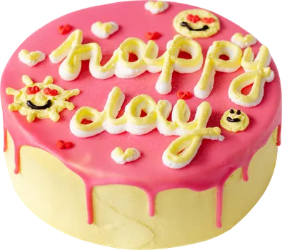 VLOG: День Рождения Моники/Поздравления от друзей/ Япония / JAPAN VLOG -  YouTube