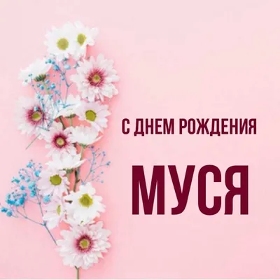 Кружка Grand Cadeau "Муса" - купить по доступным ценам в интернет-магазине  OZON (1044028786)