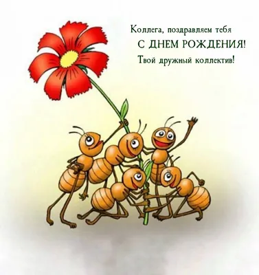 Поздравление с днем рождения бывшей начальнице – открытки, стихи и проза -  Телеграф