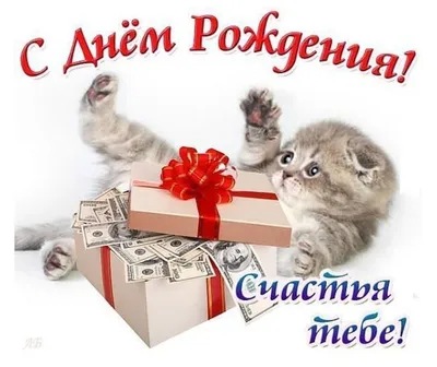 С днем рождения, Наиль Нурмеевич! | Последние новости | Футбольный клуб  «Нефтехимик»