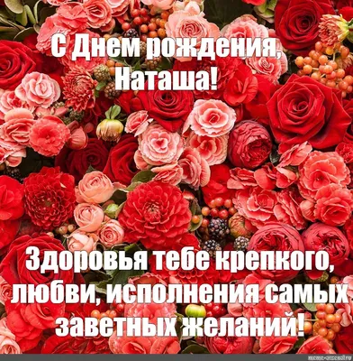 НАТАША, С ДНЁМ РОЖДЕНИЯ - Тулица