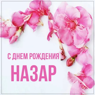 По запросу! С днём рождения Димон! #сднёмрождения #дима | TikTok