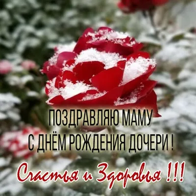 ❀ܓ ????Наташенька,с Днем Рождения!!!...°❀♡~•° (для НАТАША(ptichca) ~  Открытка (плейкаст)