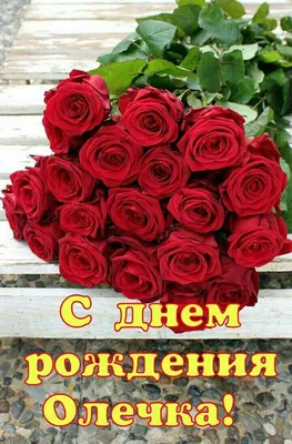 Для 🍃🌹🌿 ОЛЬГИ! | С днем рождения, Пожелания ко дню рождения, День  рождения