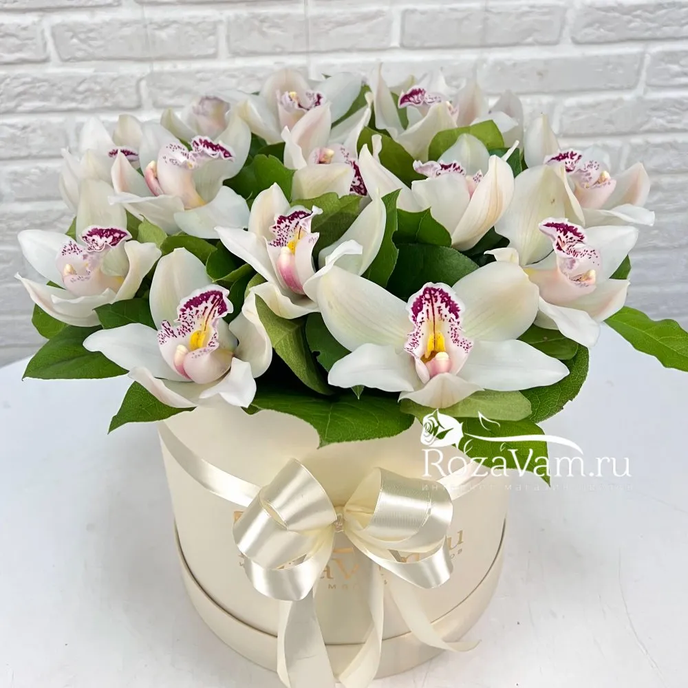 Сиреневые орхидеи — Скачайте на 