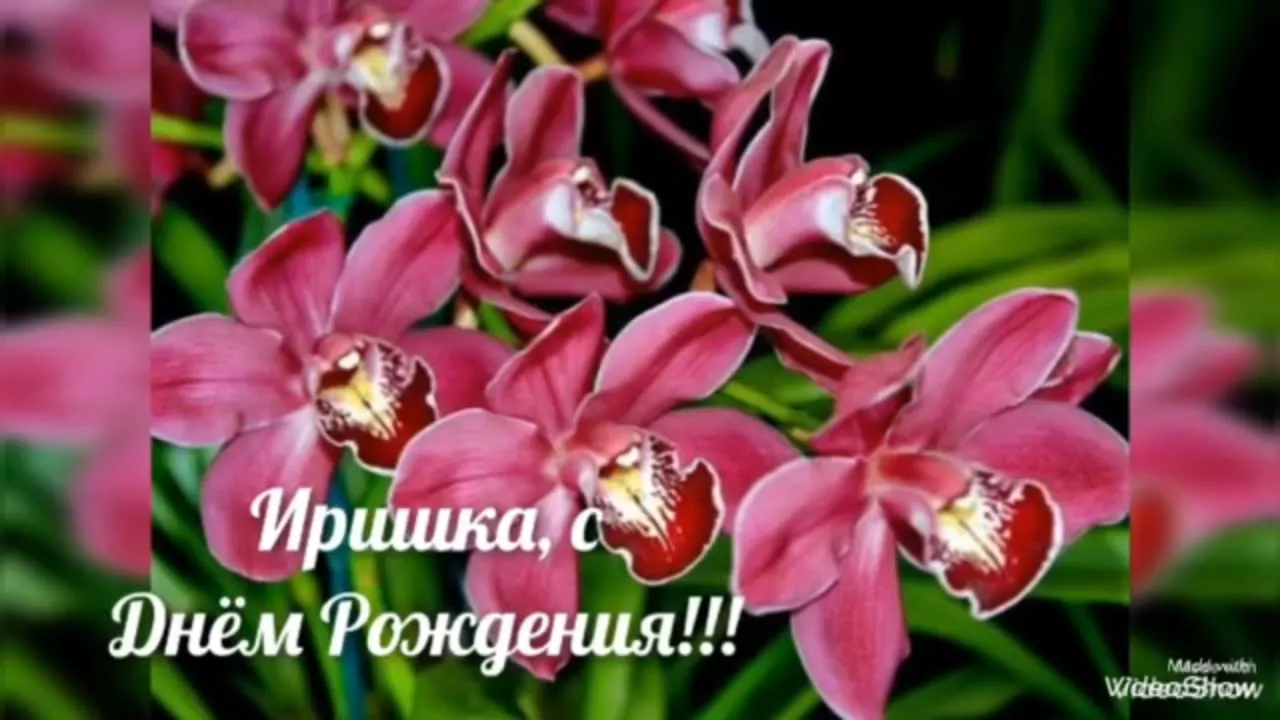 15 бирюзовых гипсофил с орхидей в коробке за 8 690 руб. | Бесплатная  доставка цветов по Москве