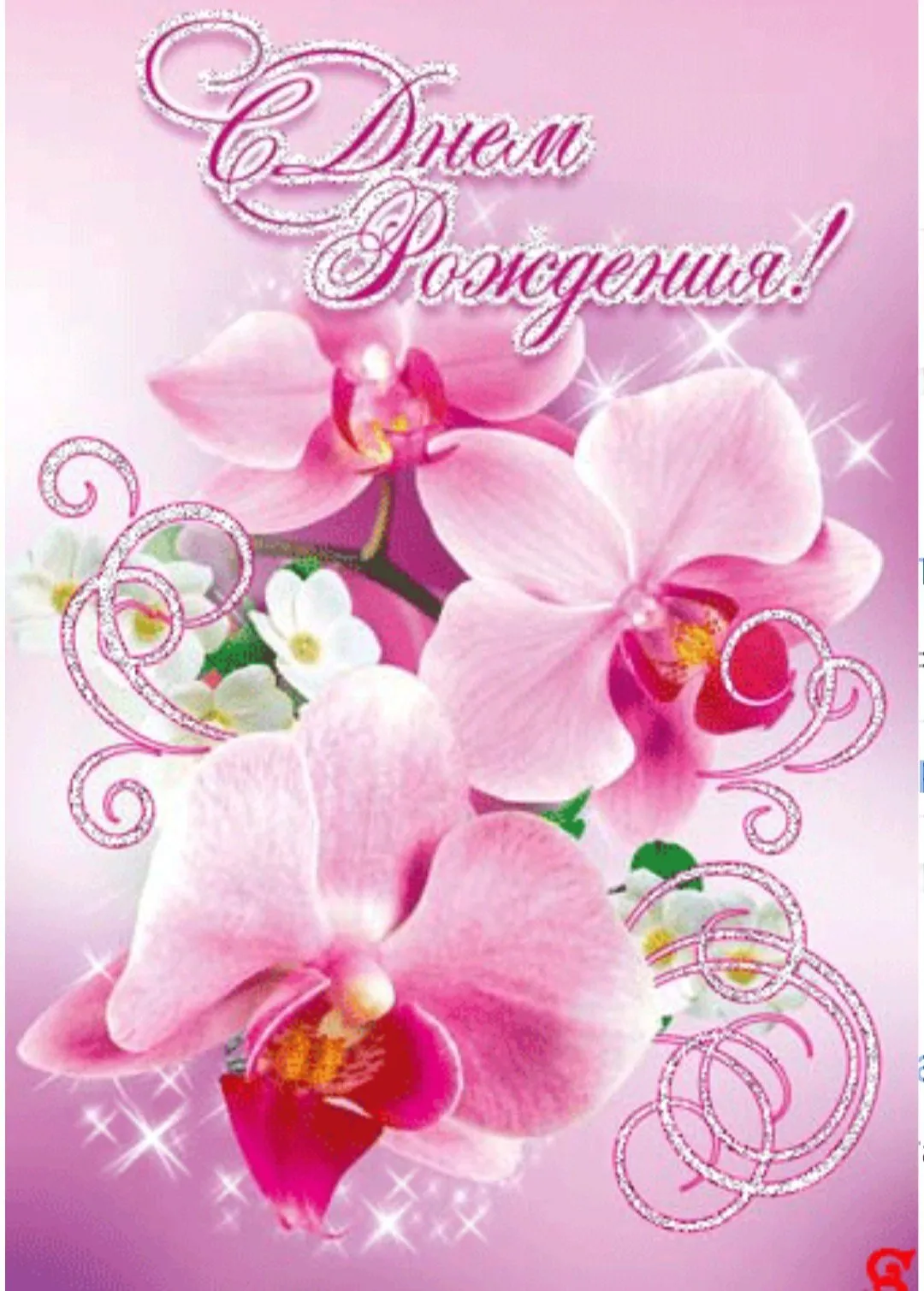 Букет "С днем рождения" с доставкой в Каспийске — Фло-Алло.Ру, свежие цветы  с бесплатной доставкой