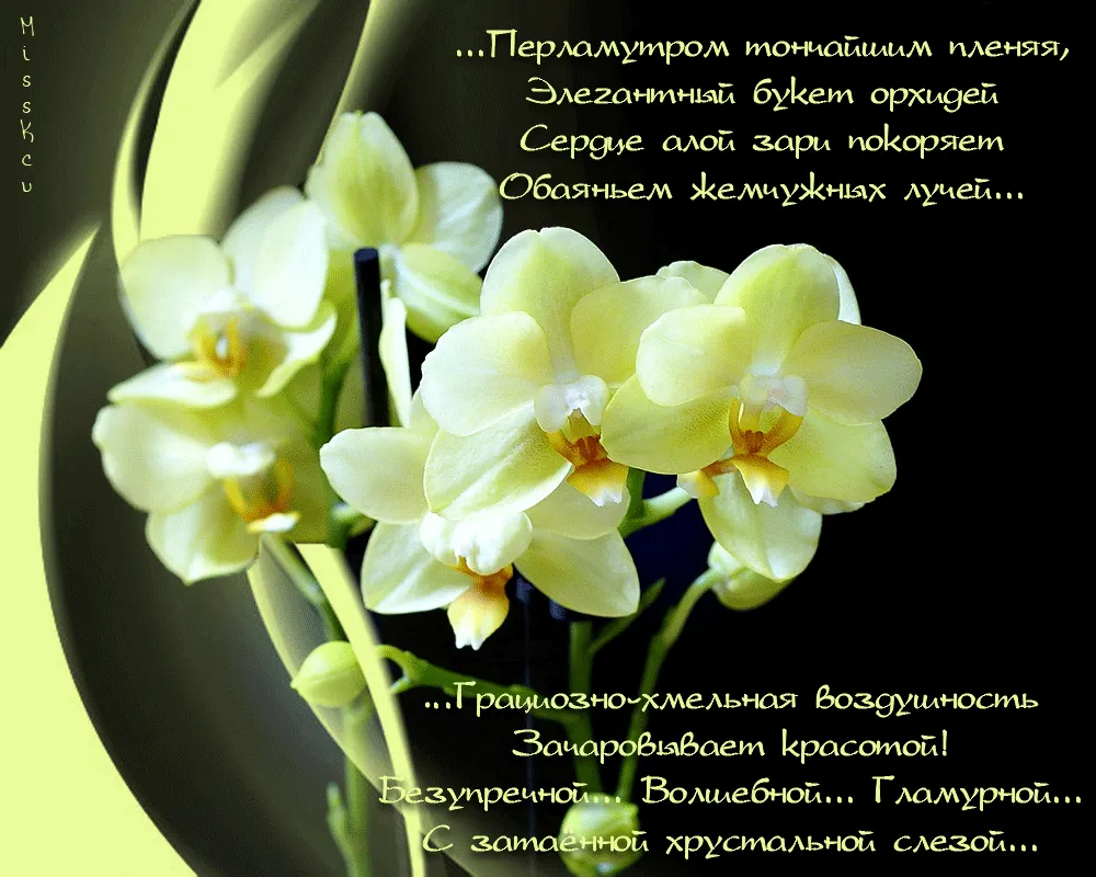 Купить Нежные орхидеи и розы в коробке R643 в Москве, цена 8 050 руб.