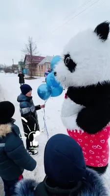 Поздравление от надувного медведя с Днем рождения в Нижнем Новгороде