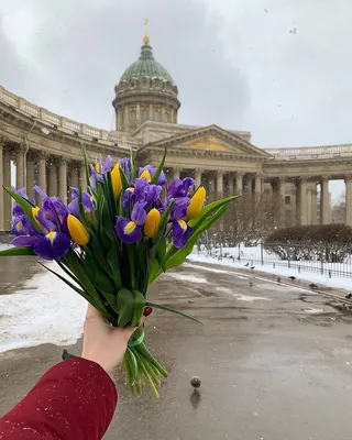 День города Санкт-Петербурга: 2021 год - Точная дата, программа, транспорт