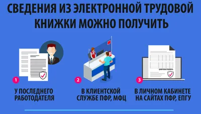 Новости Стрельны