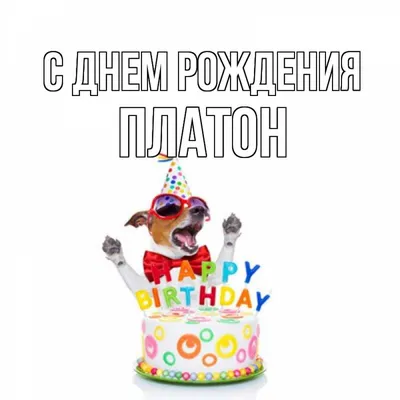 МБК НІКО Баскет - Дорогие болельщики !🎂🎂🎂🎂 23 мая свой день рождения  отмечает разыгрывающий нашей команды Платон Пашкевич .🎉🎉🎉🎉 От лица  всего клуба желаем, пусть удача ходит за тобой по пятам, пусть