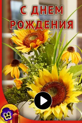 Открытка сложно-техническая "С Днем Рождения!" подсолнухи, А5 (2909692) -  Купить по цене от  руб. | Интернет магазин 