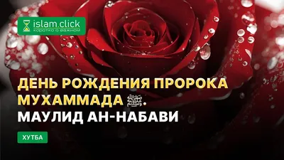 Поздравления с началом месяца "Рабиуль Авваль"! | Медицинский колледж имени  Башларова