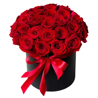 Люкс Букет - цветы Пятигорск. Красные розы в шляпной коробке купить с  доставкой в Пятигорске