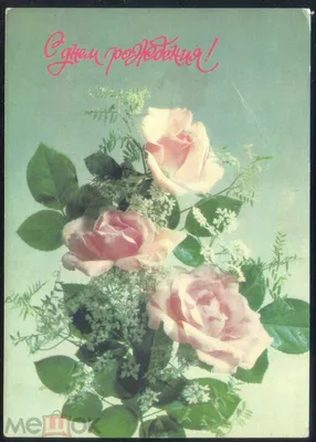 Картинка - С Днем Рождения! на фоне лепестков роз.