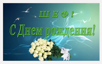 Поздравляем с Днем рождения Е.В. Шильникова – генерального директора  металлургического завода «Электросталь»!