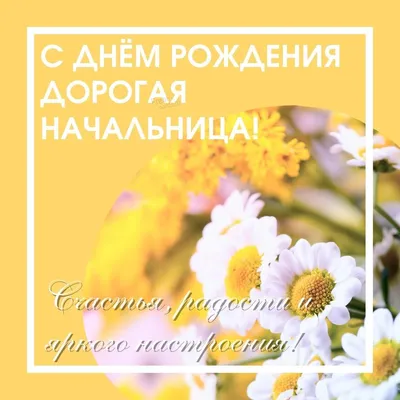 С днем рождения директору