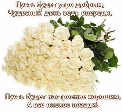 Композиция Белые розы в шляпной коробке» с розами - купить в Смоленске за 5  100 руб