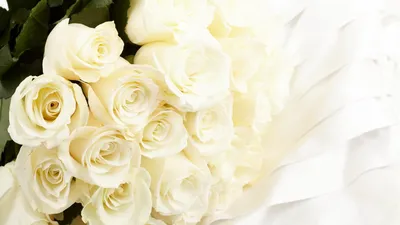 5 белых роз Махе | купить недорого | доставка по Москве и области