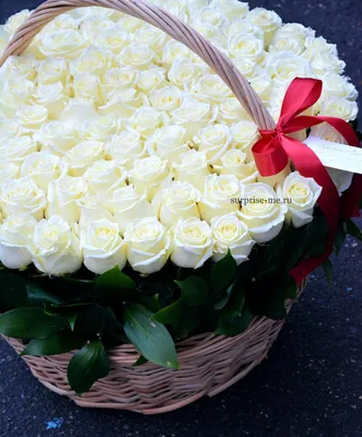 Открытки с белыми розами с Днем Рождения