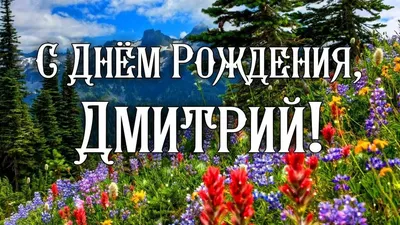 Открытка с именем Дима С днем рождения С днем рождения от веселого парня.  Открытки на каждый день с именами и пожеланиями.