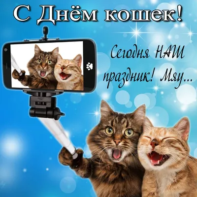 Открытка С днем рождения! Котики (Cards For You And Me) купить по цене 150  руб. в интернет-магазине Мистер Гик